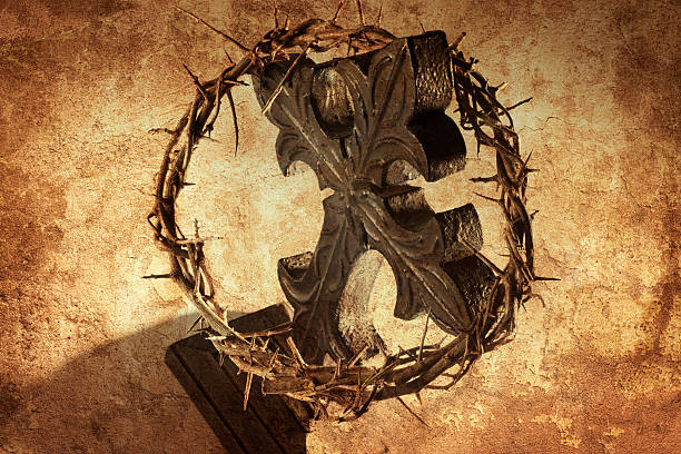 istock Crown of Thorns 183333839