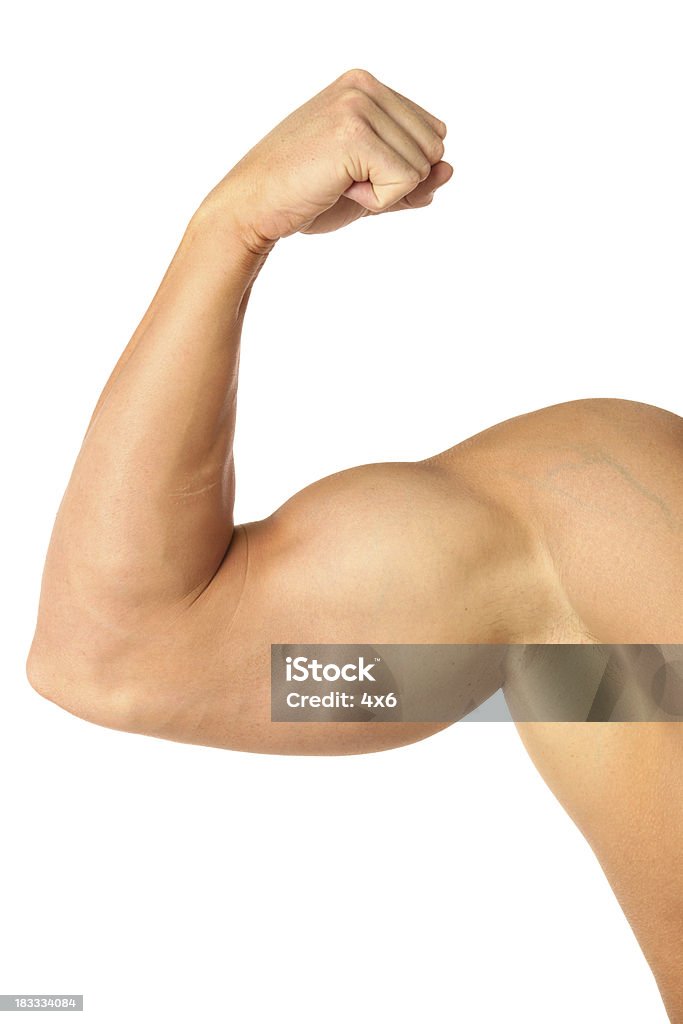 Bíceps Muscular - Foto de stock de Musculoso royalty-free