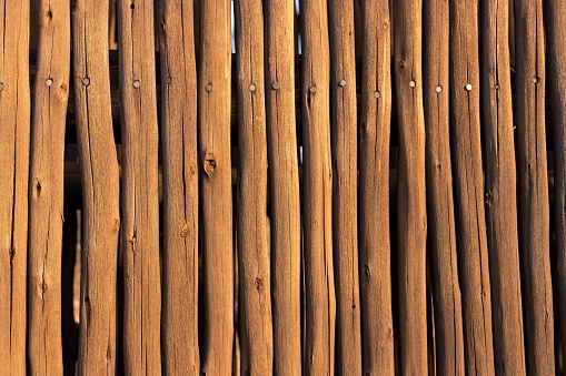 Brown wooden fence with various sized nails and sticks attached in a criss-cross pattern