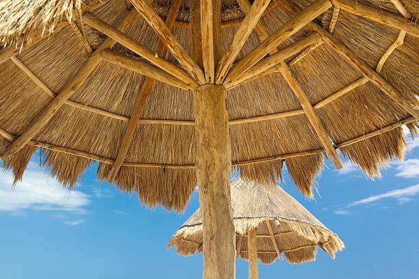 istock Thatched Roof Palapa on Tropical Beach 183334841