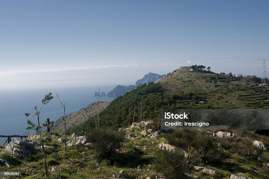 Massa Lubrense -Viewpoin San Costanzo-costa sorrentina - Foto stock royalty-free di Albero