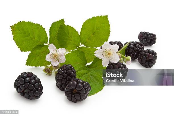 ブラックベリー - ブラックベリーのストックフォトや画像を多数ご用意 - ブラックベリー, 果物, 花