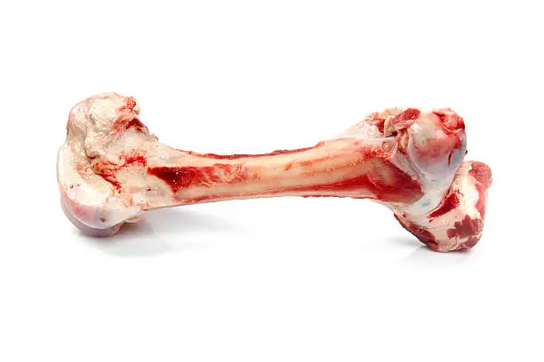 Large meaty dog bone on white background