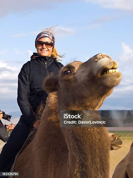 Camel Riding Stock Photo - Download Image Now - Gobi Desert, Independent Mongolia, Adult