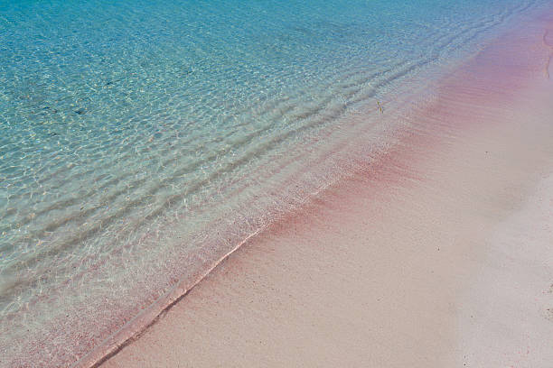 istock Pink sand in Formentera island 183336831
