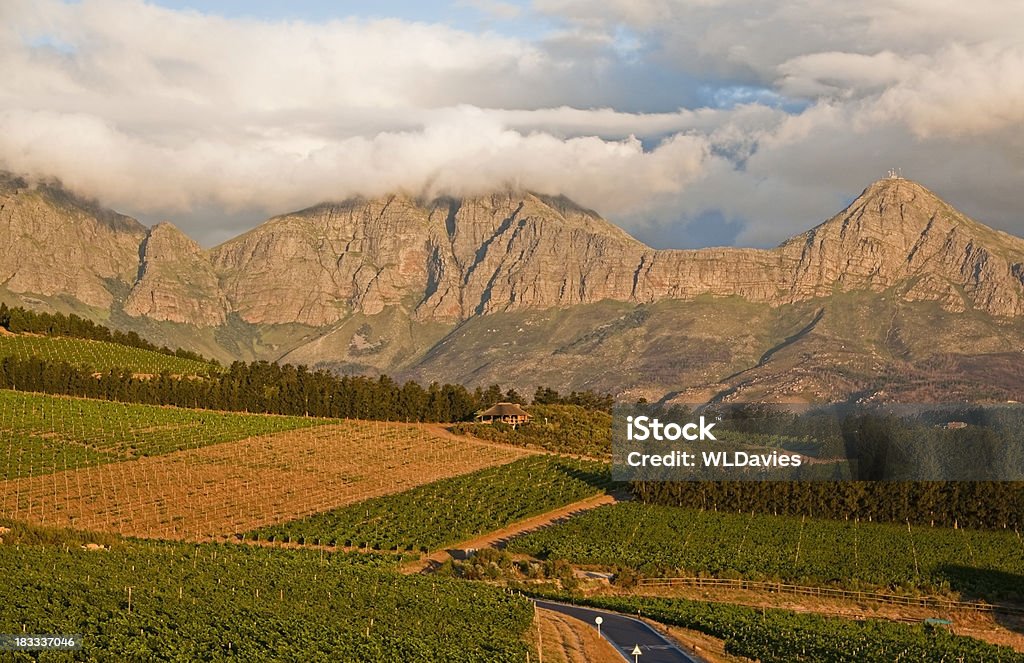 Wineland paysage d'Afrique du Sud - Photo de Somerset West libre de droits