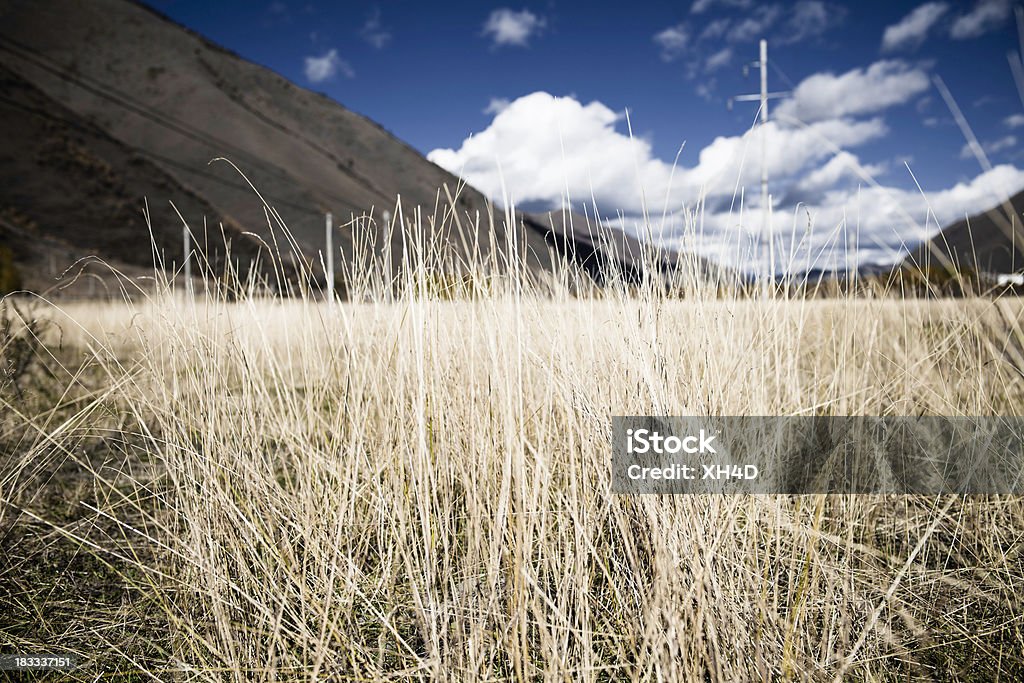 Gedämpfter Gras - Lizenzfrei Bildhintergrund Stock-Foto