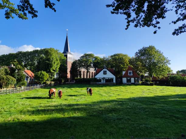 istock Farm in the Netherlands with cows 1833379269