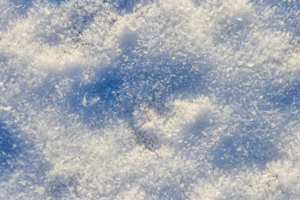 istock Texture of the white snow. Winter background 1833379427