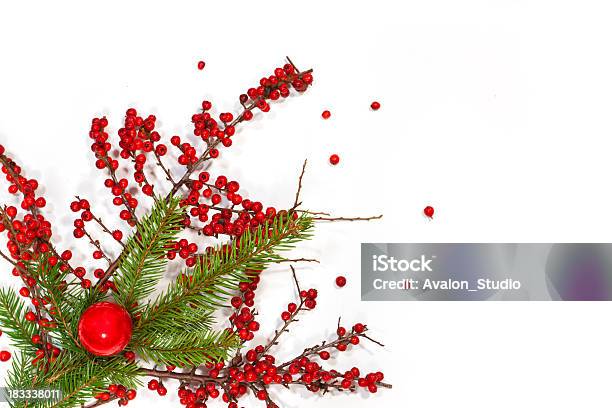Elegence 크리스마스 컴포지션 컷아웃에 대한 스톡 사진 및 기타 이미지 - 컷아웃, 가문비나무, 베리류