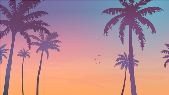 vector panorama with palm trees tropical beach scene