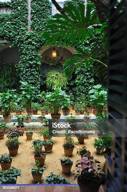 Traditionelle Andalusische Terrasse Mit Vielen Pflanzen Stockfoto und mehr Bilder von Andalusien