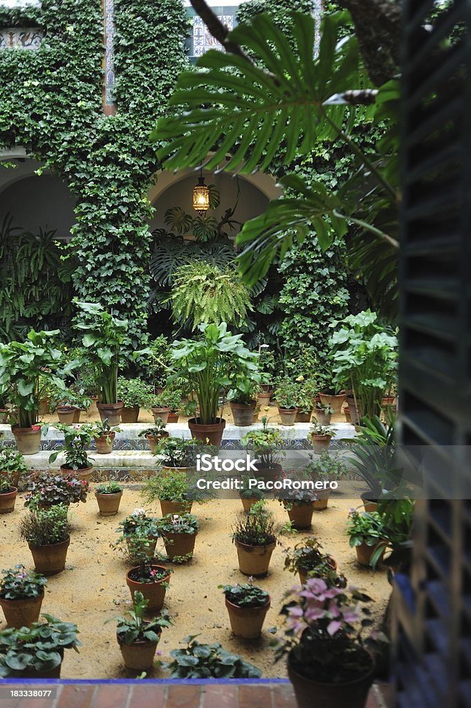 Tradicional andaluz Terraço com plantas de vaso - Royalty-free Andaluzia Foto de stock