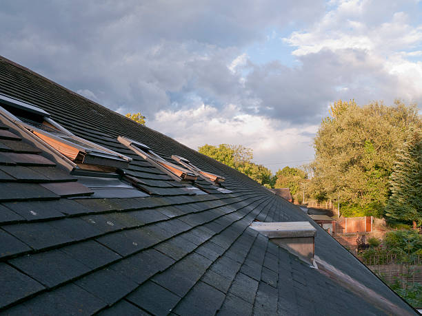 Steep large slate roof with two small dormer windows (copy space)