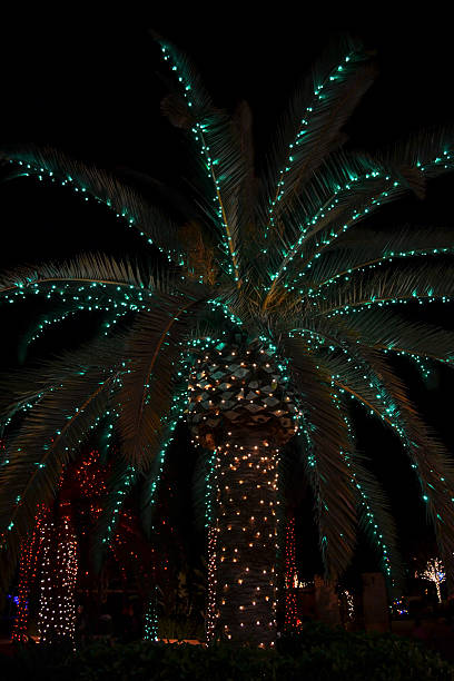 istock Green and White Christmas Lights On Pineapple Palm Tree Abstract 183338611