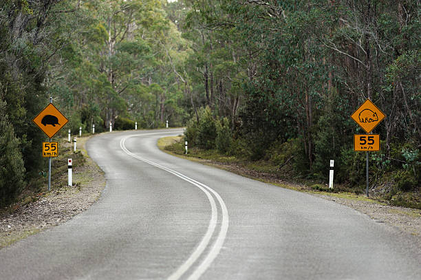 istock Road Signs in Tasmania 183339122