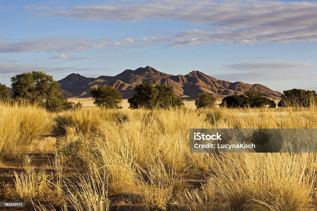 Savannah und die Berge - Lizenzfrei Abenddämmerung Stock-Foto