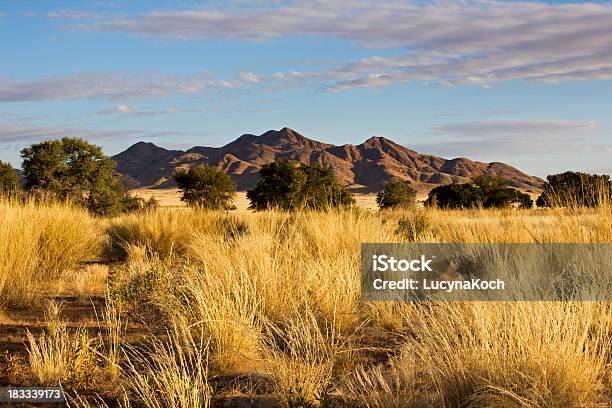 Savannah Und Die Berge Stockfoto und mehr Bilder von Abenddämmerung - Abenddämmerung, Abenteuer, Afrika