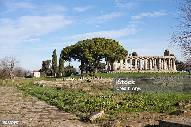 Tempio Di Atena Paestum Italia - Fotografie stock e altre immagini di Antica Grecia - Antica Grecia, Antica Roma, Archeologia