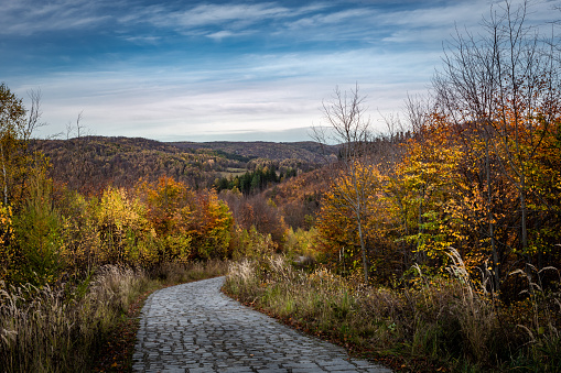 Landscape with a path in autumnal forest in Sowie mountains, Poland. No people.