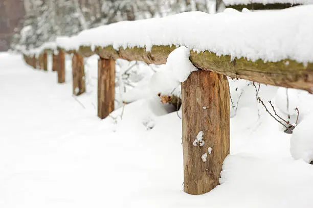 snow covered wooden railing in saxon switzerland, germany, elbsandsteingebirge