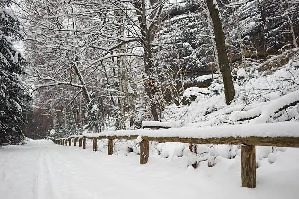 ski trail and snow covered wooden railing through forest in saxon switzerland, germany, elbsandsteingebirge