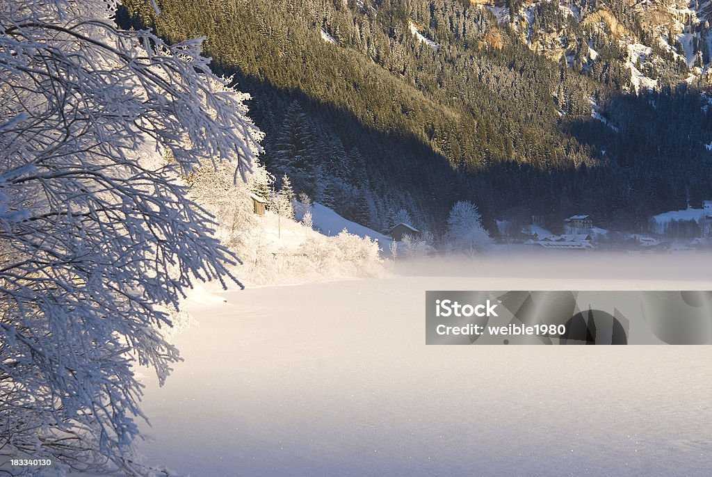 Gefrorene Büschen nächsten winter Berg Landschaft und See - Lizenzfrei Alpen Stock-Foto