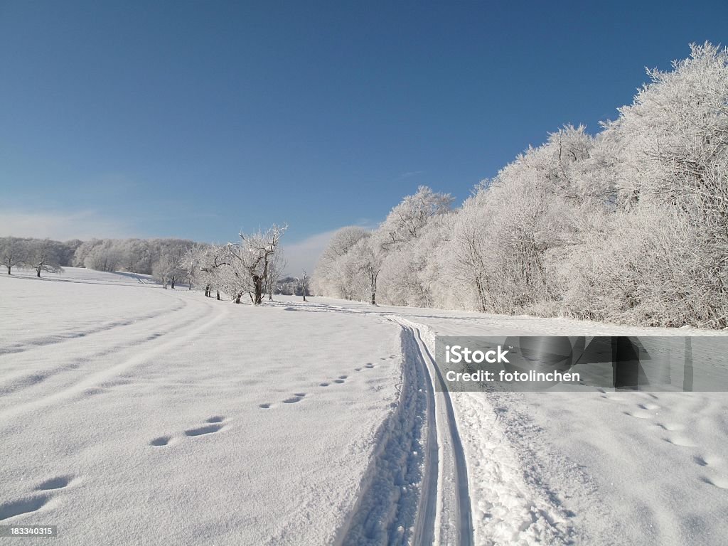 Winter-Landschaft - Lizenzfrei Ast - Pflanzenbestandteil Stock-Foto