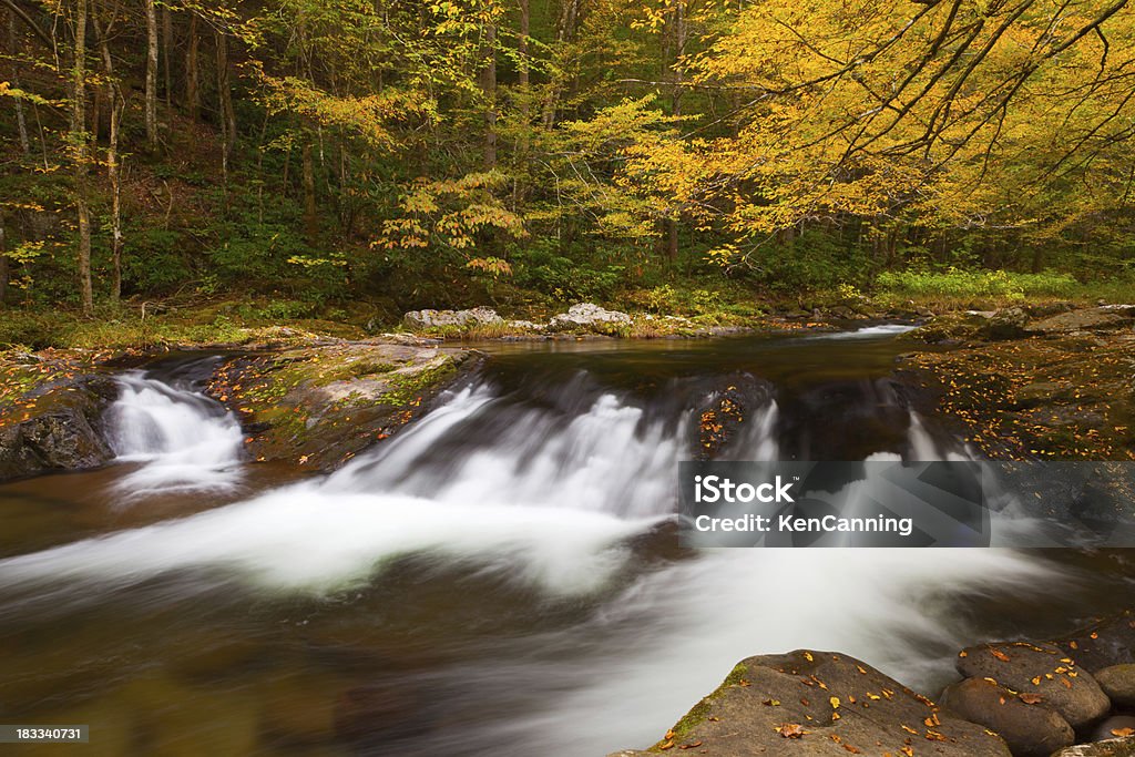 Montaña otoño corriente - Foto de stock de Fotografía - Imágenes libre de derechos