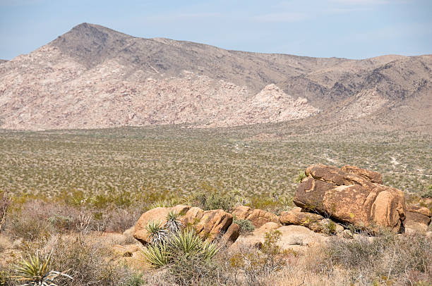 istock Landscape at Joshua Tree National Monument in California 183340974