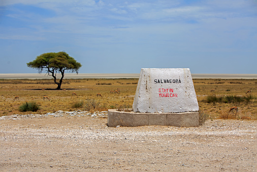 Etosha Pan, Namibia . A signpost at Salvadora Waterhole, telling visitors to stay in their car. It is a wild area, and some poeple treat it like a zoo, it is dangerous to exit your vehicle.