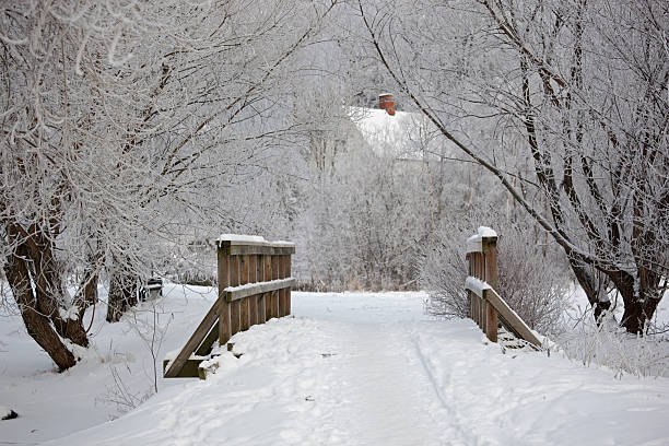 istock Bridge leading to house in Winter 183341356