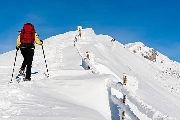 istock Hiking on Monte Baldo In Winter 183342148