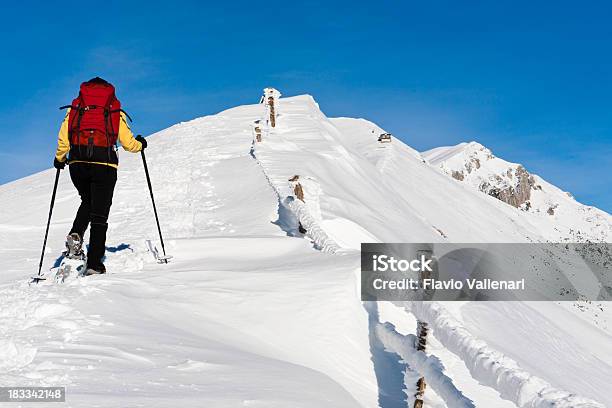 Caminhada No Monte Baldo No Inverno - Fotografias de stock e mais imagens de Alpes Europeus - Alpes Europeus, Amarelo, Andar