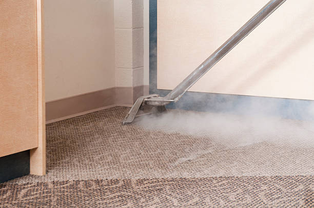 istock Professional Carpet Cleaning - Steam Cleaning 183342619