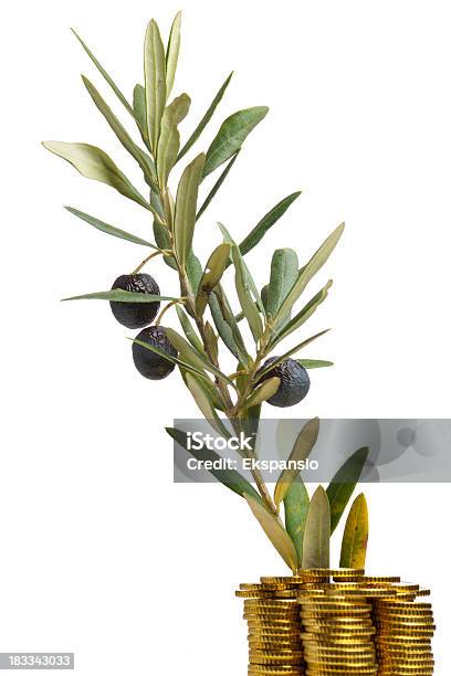 Olive Branch Symbol Pokoju Się Z Pieniędzy Złote Monety - zdjęcia stockowe i więcej obrazów Białe tło