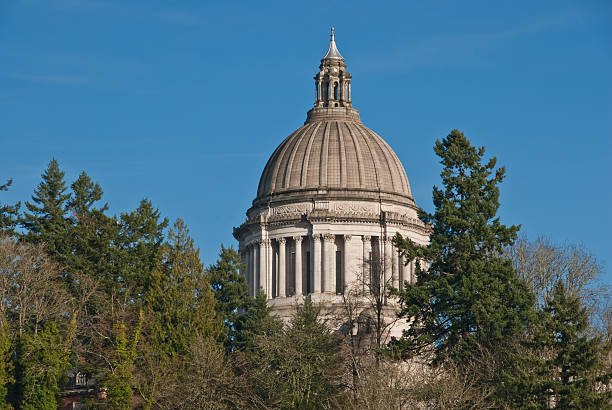 istock Washington State Capitol Building Close-Up 183343046