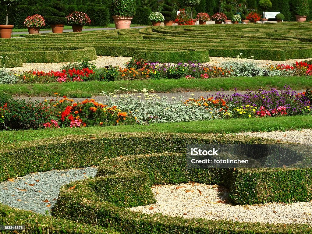 Ziergarten - Lizenzfrei Blume Stock-Foto