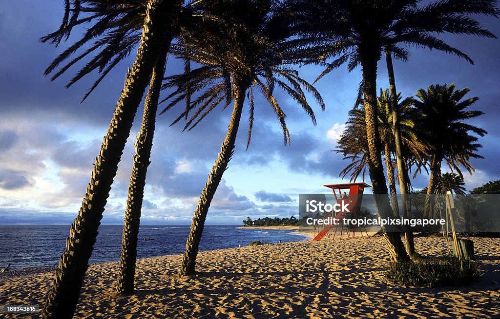 USA, Hawai, O'ahu, North Shore, Sunset Beach. - Foto de stock de Agua libre de derechos
