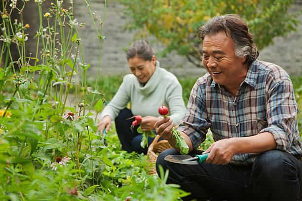 senior couple dans le jardin - chinese ethnicity men old china photos et images de collection