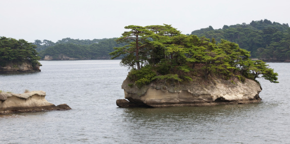 One of the many islands in the bay of Matsushima.