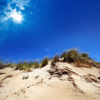 sand dune over clear sky and sunbeam.