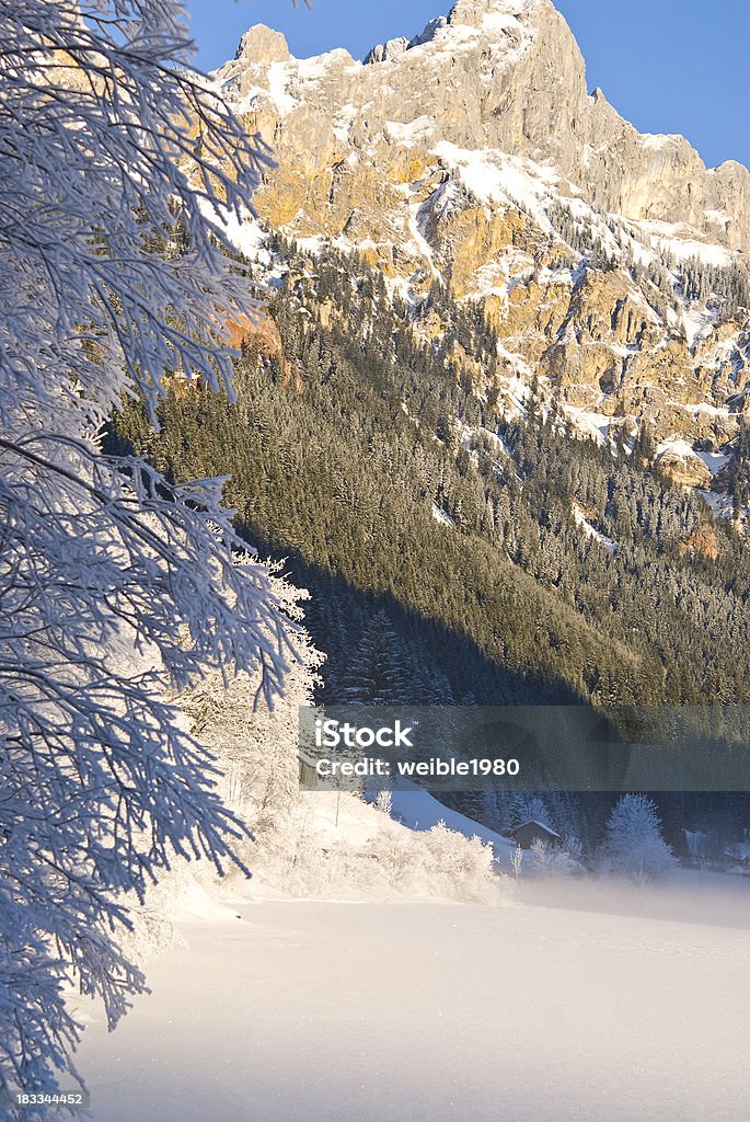 Gefrorene Büschen nächsten winter Berg Landschaft und See - Lizenzfrei Alpen Stock-Foto