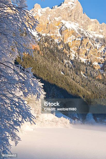 Gefrorene Büschen Nächsten Winter Berg Landschaft Und See Stockfoto und mehr Bilder von Alpen