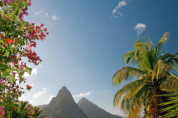 istock View of St. Lucia Twin Pitons 183344799