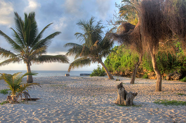 istock Kenyan beach scene at sunrise 183344942