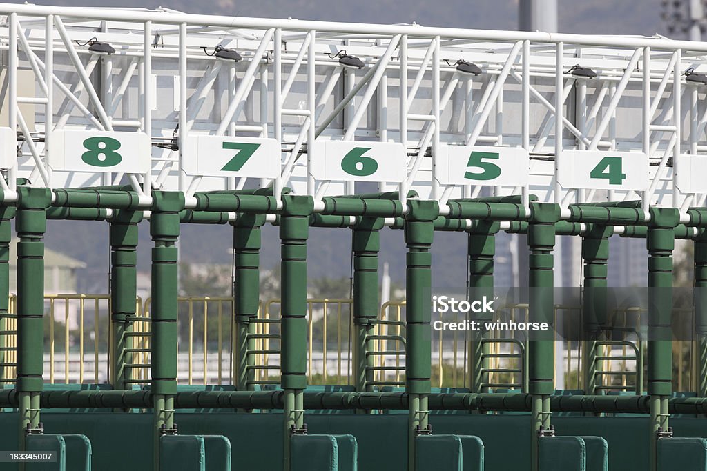 Starting Gate "Close up shot of an empty starting gate, waiting for the thoroughbreds to be loaded in and the beginning of the race." Animal Sport Stock Photo