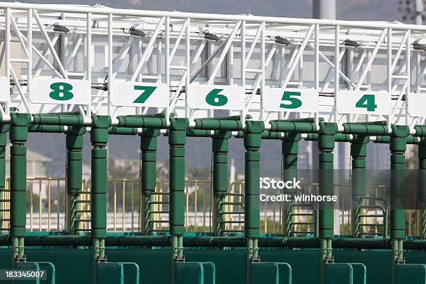 Starting Gate Stock Photo - Download Image Now - Animal Sport, Beginnings, Close-up