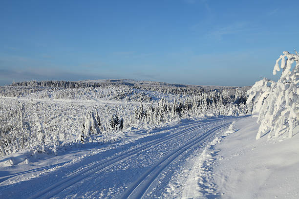 스노이 겨울맞이 풍경, 해질녘까지 및 교차 sountry 기울기 - cross country skiing black forest germany winter 뉴스 사진 이미지