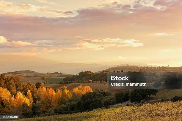 Zachód Słońca W Toskania - zdjęcia stockowe i więcej obrazów Val d'Orcia - Val d'Orcia, Jesień, Krzew